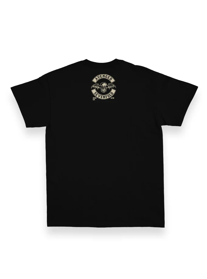 Avenged Sevenfold (6)